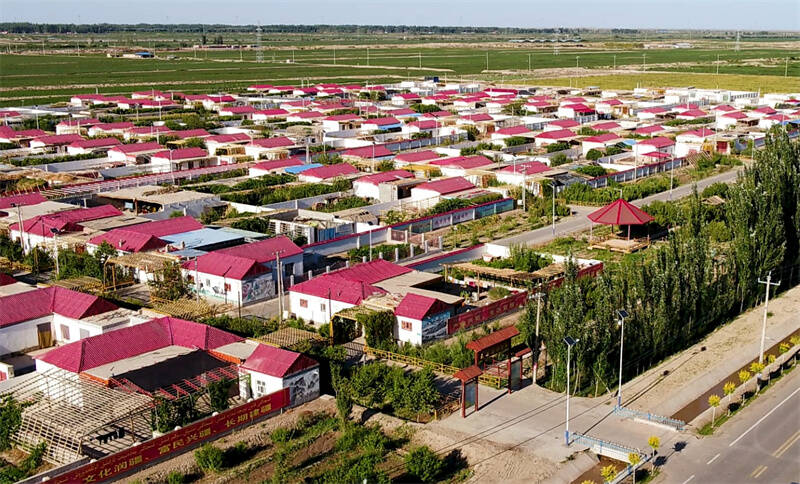 边疆传来乡村振兴奏鸣曲泰安援疆指挥部全力推动岳普湖乡产业发展