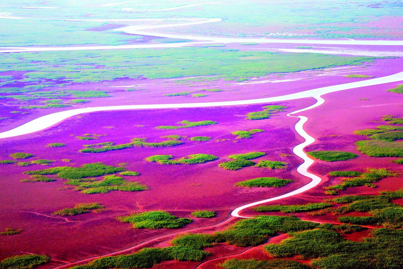 东营>东营要闻>同时,建成黄河三角洲生态监测中心,黄河三角洲生态环境