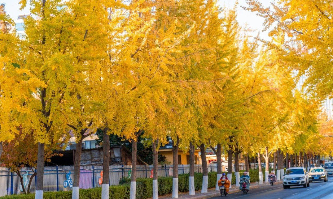 日照市中小学寒假时间确定