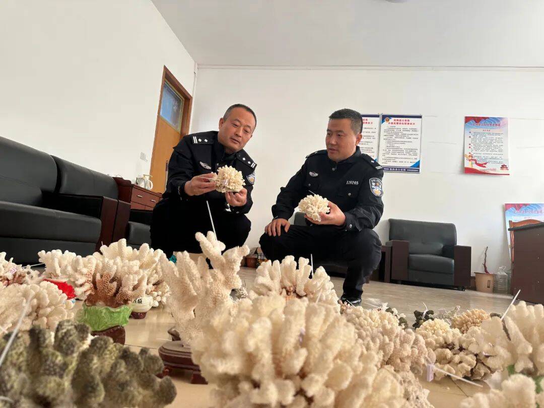 辗转20余省 抓获犯罪嫌疑人40余名 临朐公安破获一起网络贩卖石珊瑚案