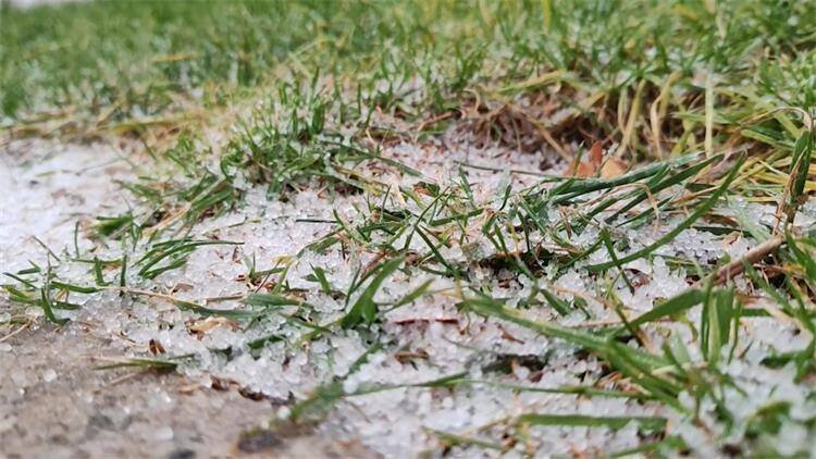 細密如雨威海今晨降下冰雹