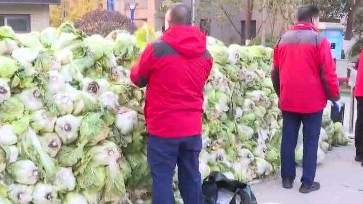 大白菜滞销 淄博城管携手爱心企业助农 一天认购40余万斤