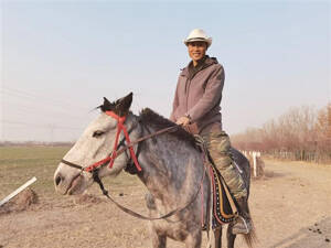 90后小伙56天骑马1100余公里从内蒙回淄博