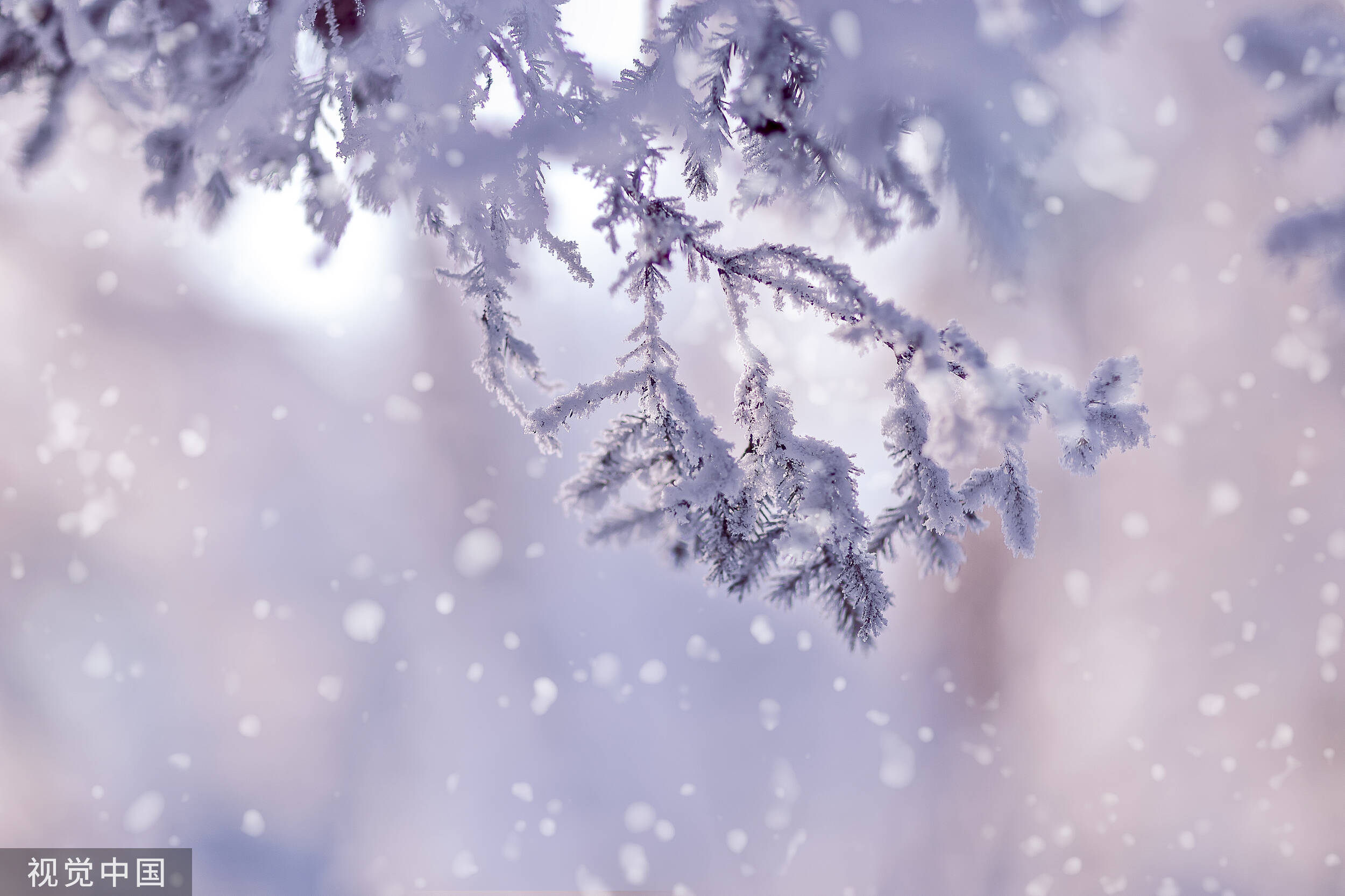 大雪纷飞的美景图片