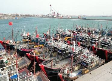 龙口市：海上大风黄色预警 600多艘渔船靠港避风
