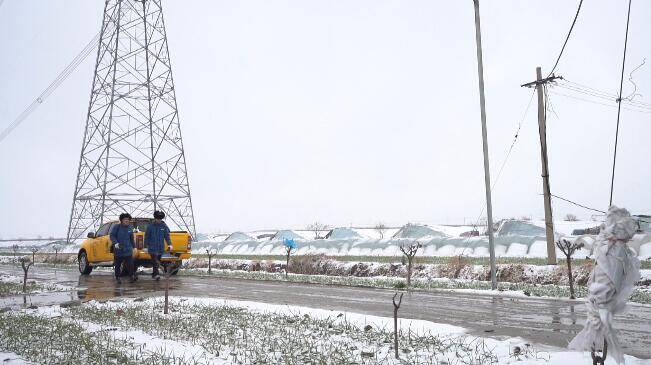 【应对强降雪天气】青州：强化电力巡检 保障大棚农业生产