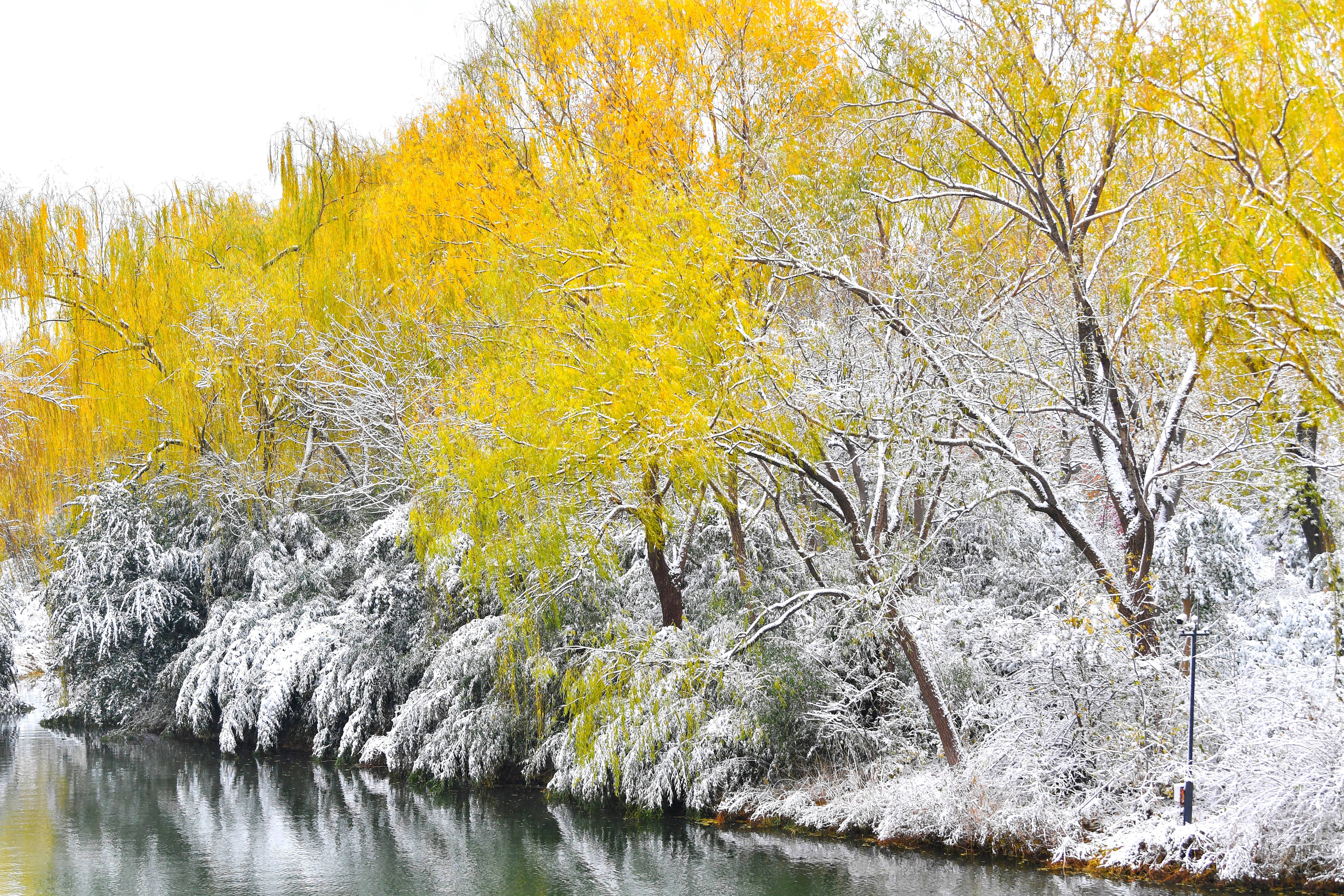 影像力｜雪后的济南大明湖不只“银装”，原来还有那么多色彩！