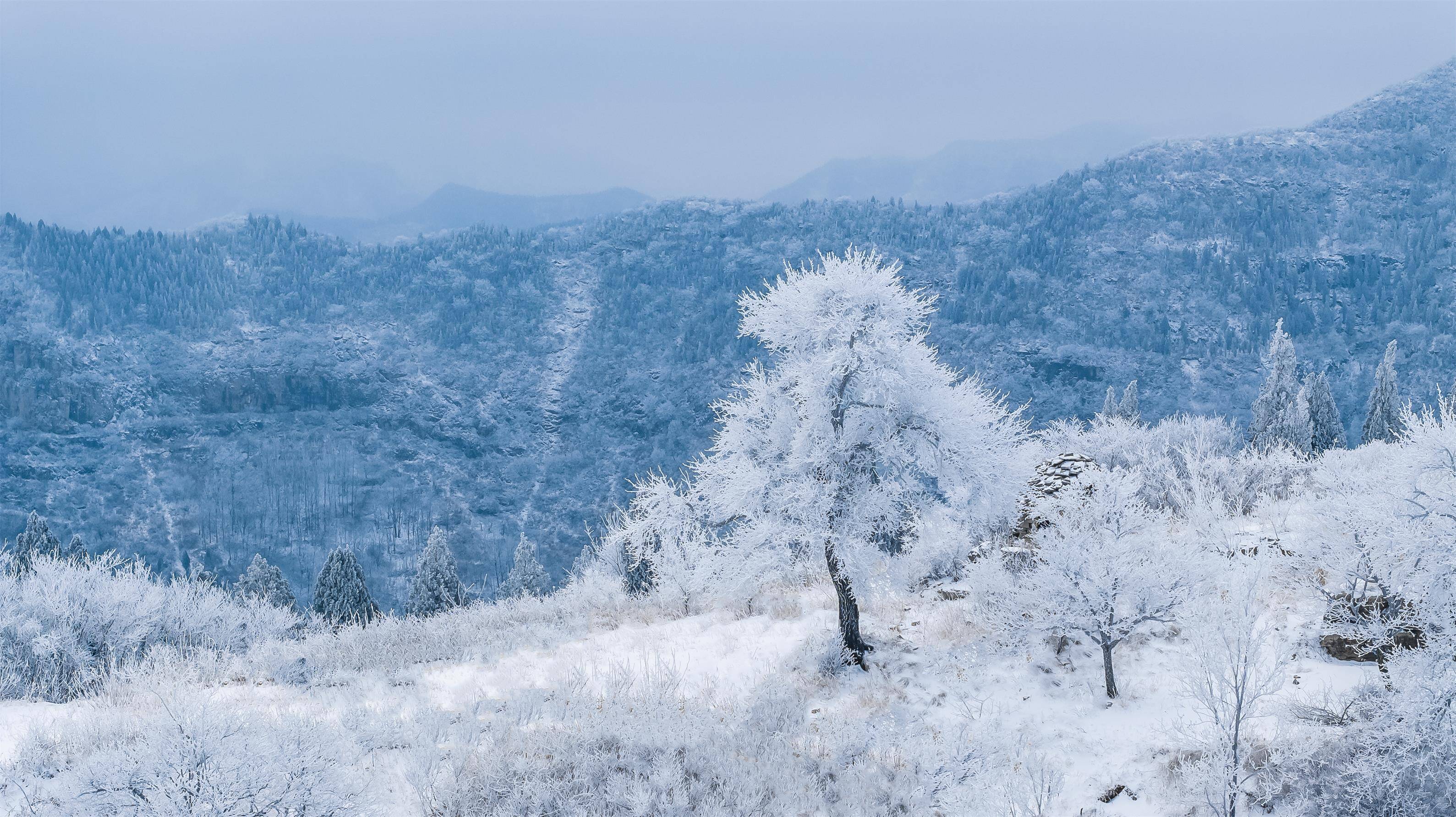 观雾山雪景图片