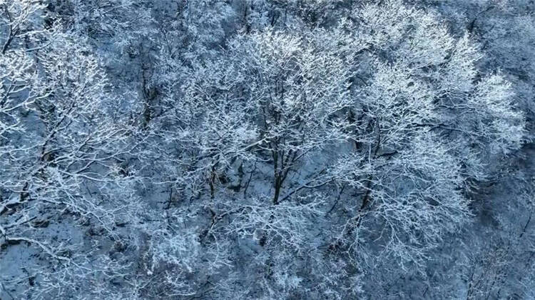 漫山玉树琼枝如梦如画 青州仰天山国家森林公园出现雪凇奇观