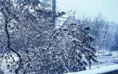 平均降雪量10~20毫米！济南14日11时至15日2时将有暴雪天气