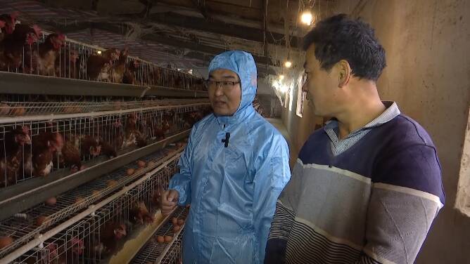 潍坊市坊子区80余名畜牧技术员上门指导“战寒潮” 护航畜禽安全越冬