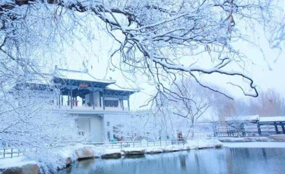 雪后櫻花山如詩(shī)如畫