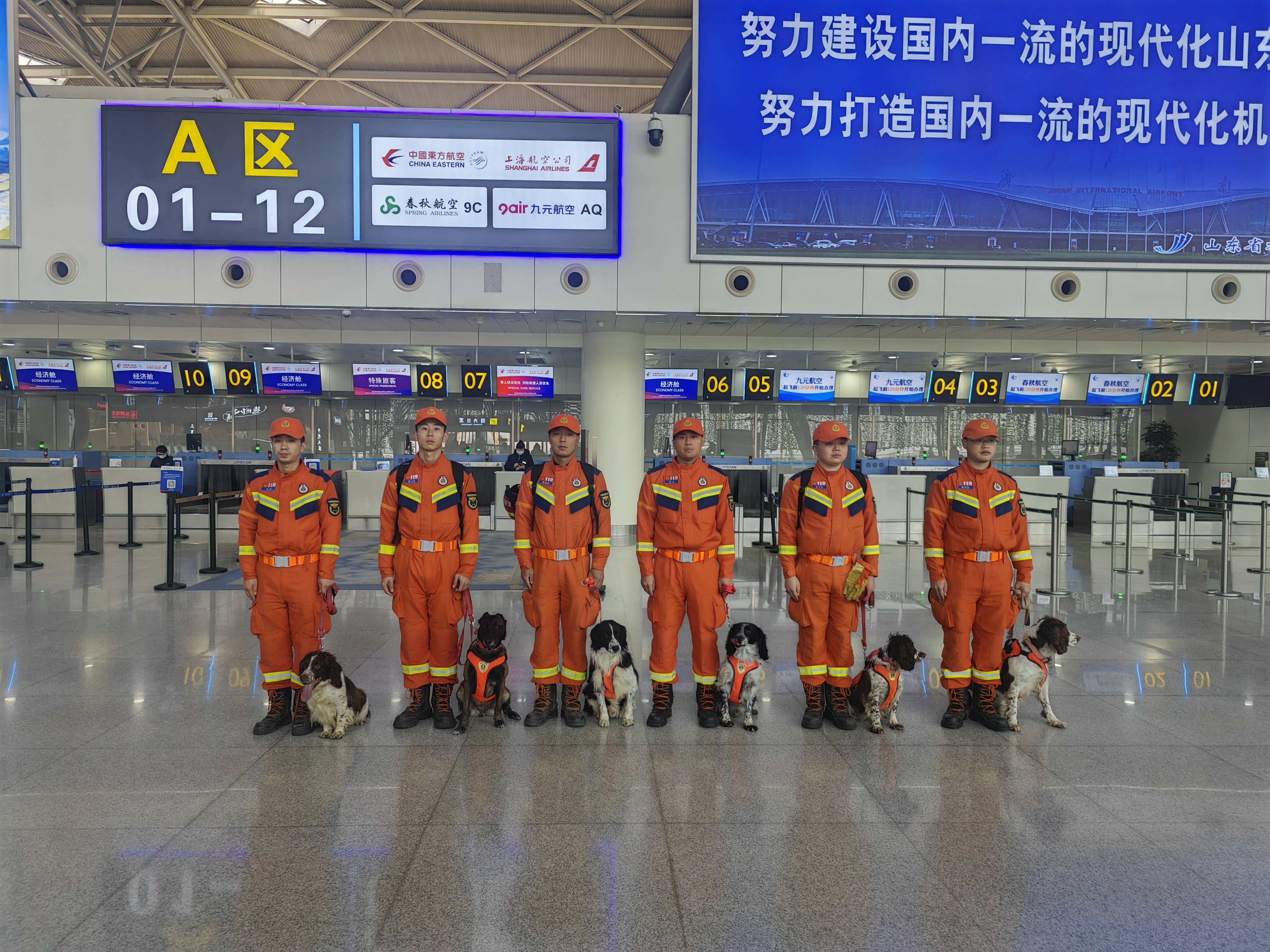山东消防搜救犬机动专业支队完成集结 即将奔赴甘肃
