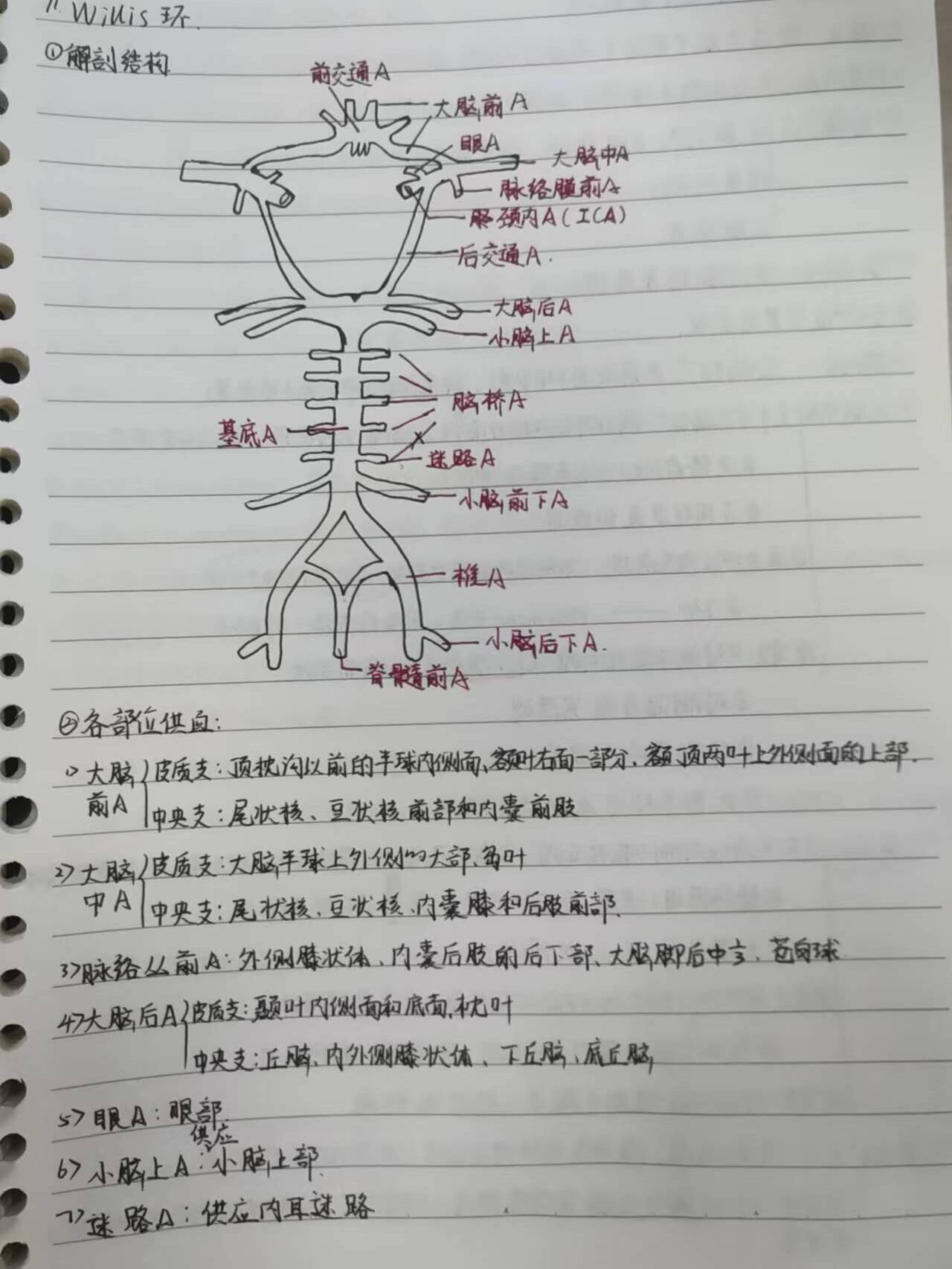 狀態,通過之前整理的思維導圖或者筆記抓住重點,買小綠本或小藍本刷題