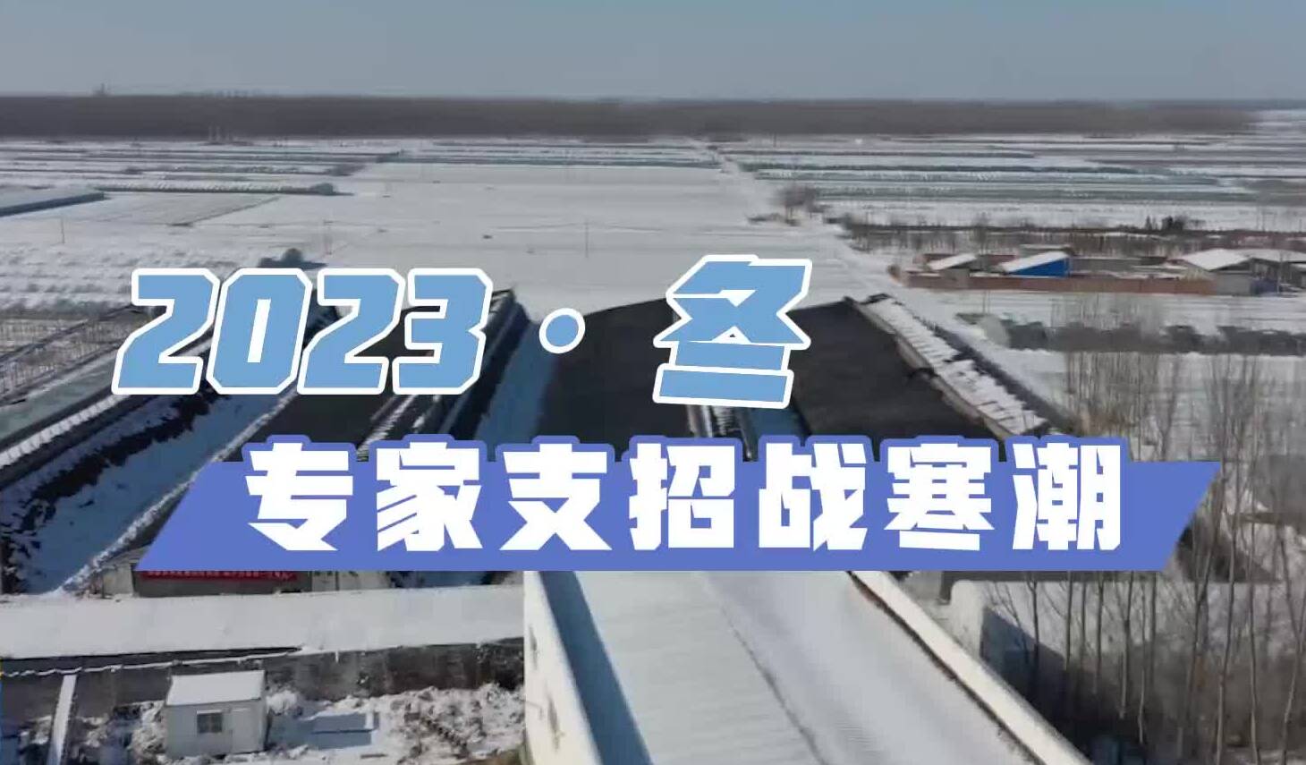 大棚里開“空調”、畜圈保溫、凍害預防……專家支招戰寒潮