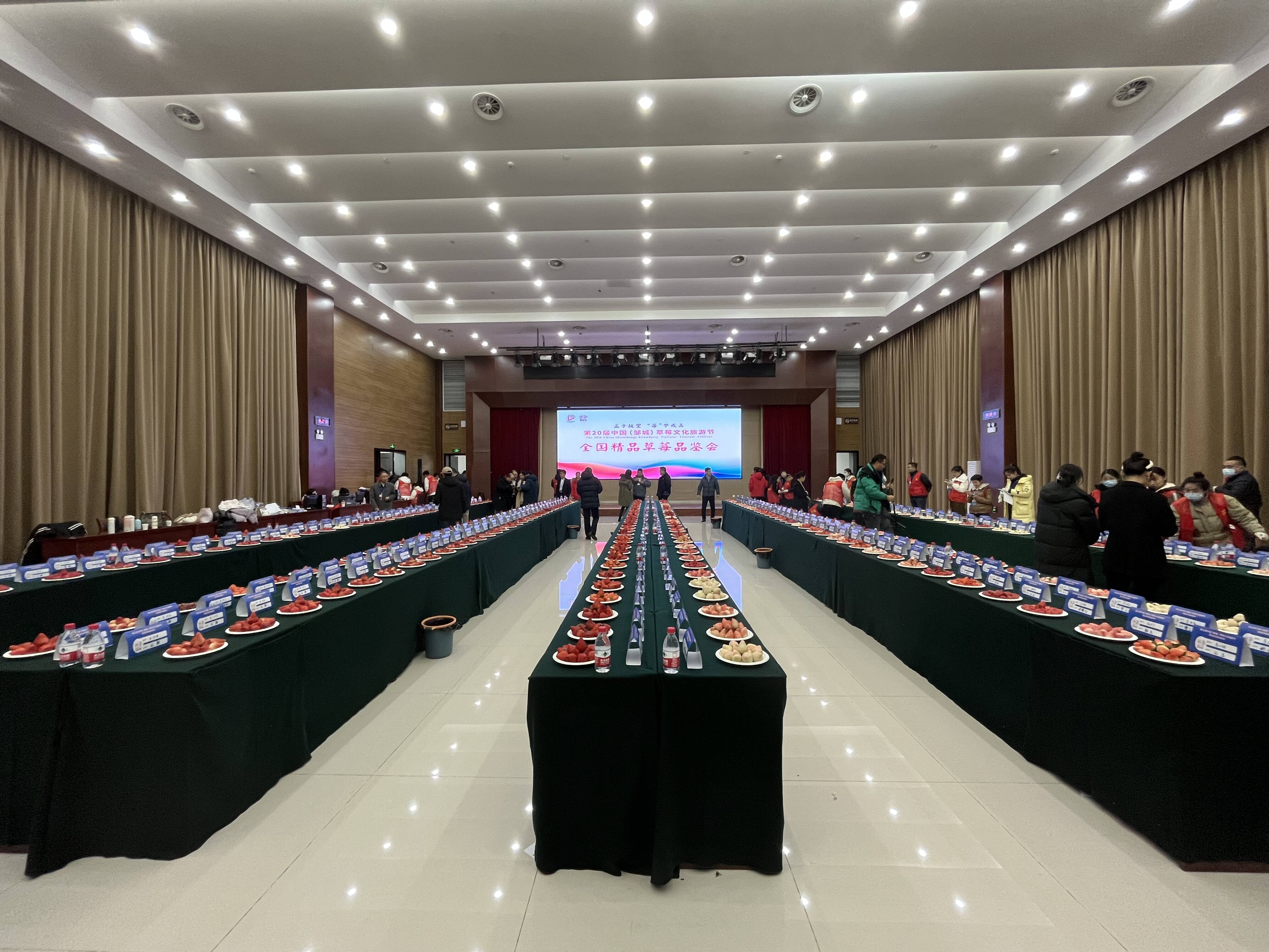 第20届中国（邹城）草莓文化旅游节开幕