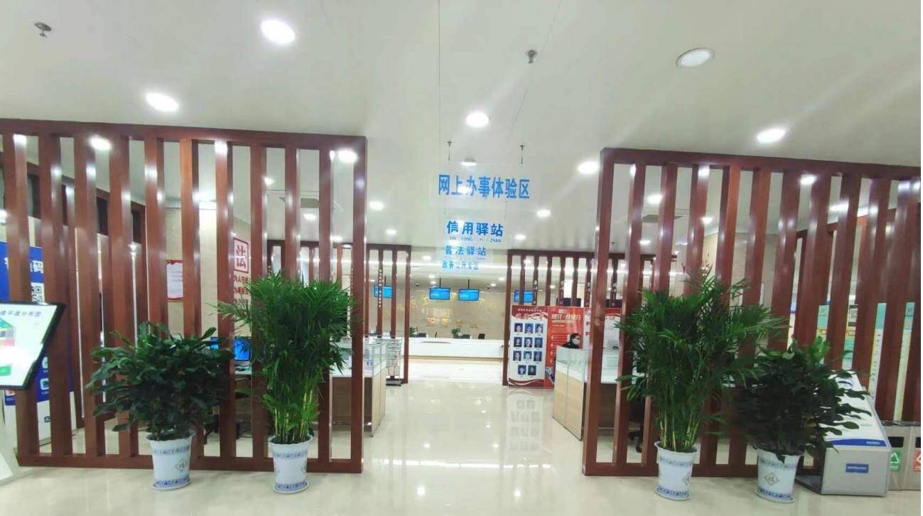 260余盆绿植扮靓枣庄薛城市民服务中心