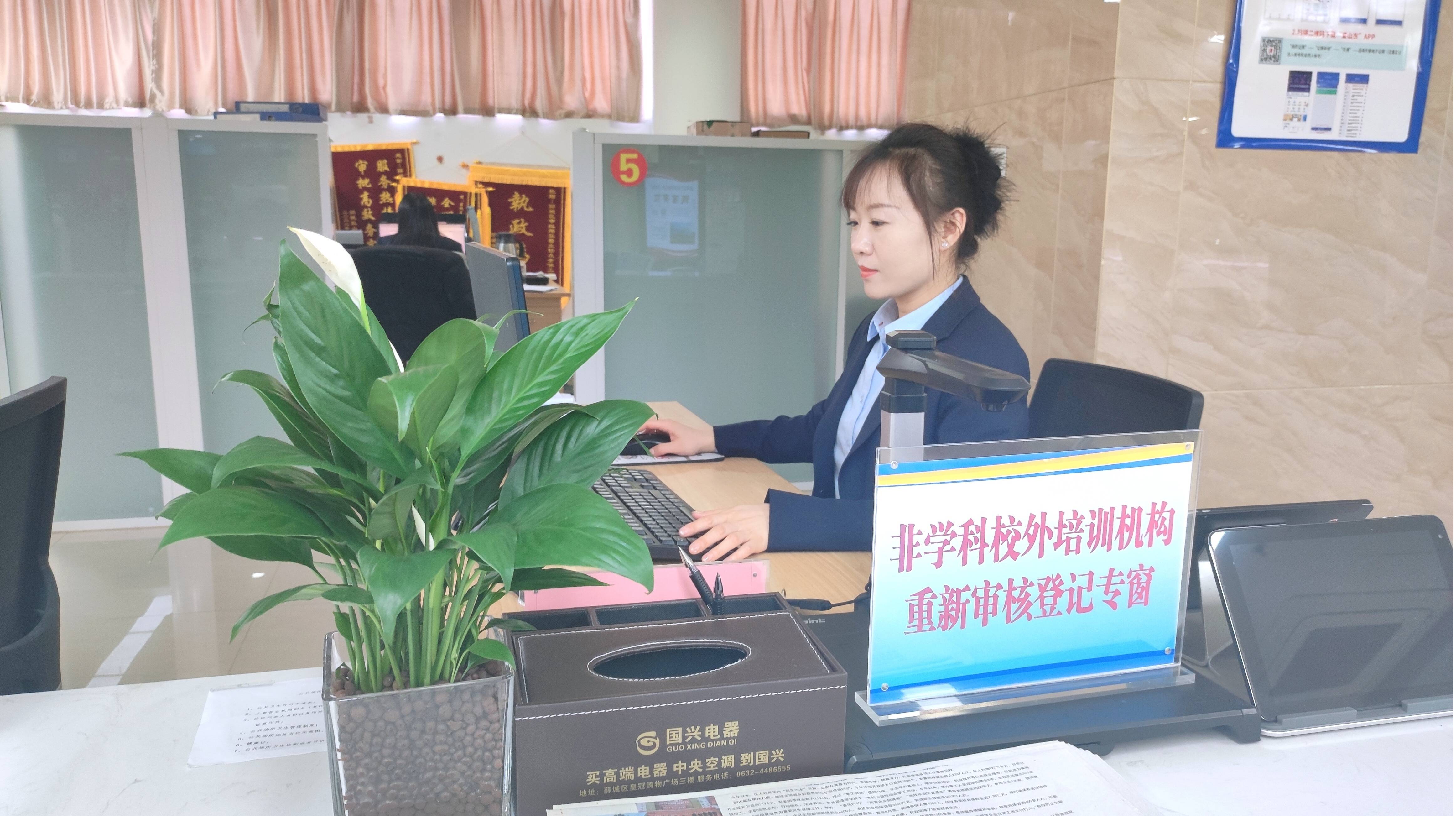 260余盆绿植扮靓枣庄薛城市民服务中心