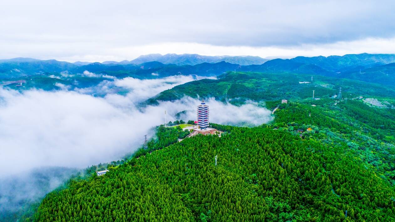 原山底色紅與綠的交融寫在山東淄博市原山林場第十個