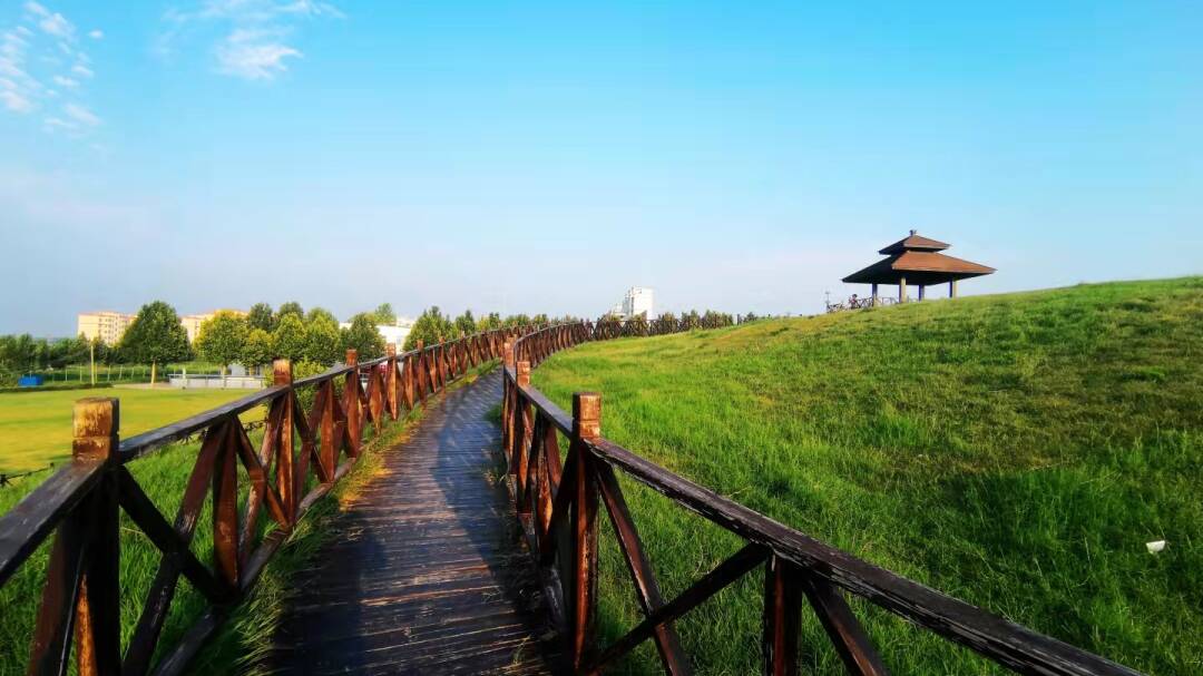 全省第一！济宁市3个项目入选第二批省级考古遗址公园名单和立项名单