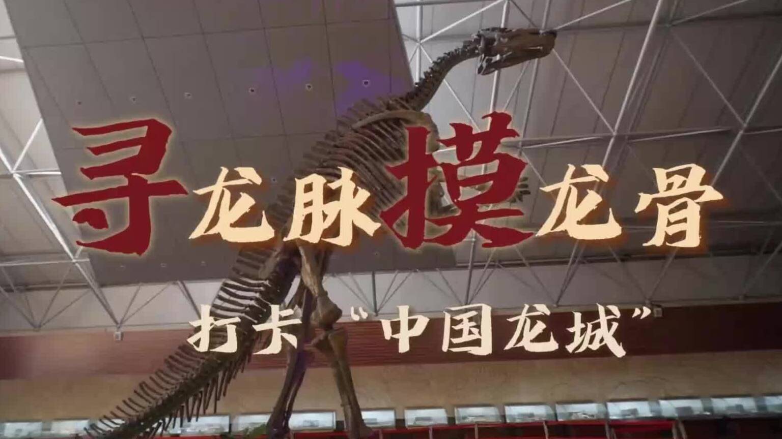 寻龙记｜寻龙脉 摸龙骨 打卡“中国龙城”探秘恐龙世界