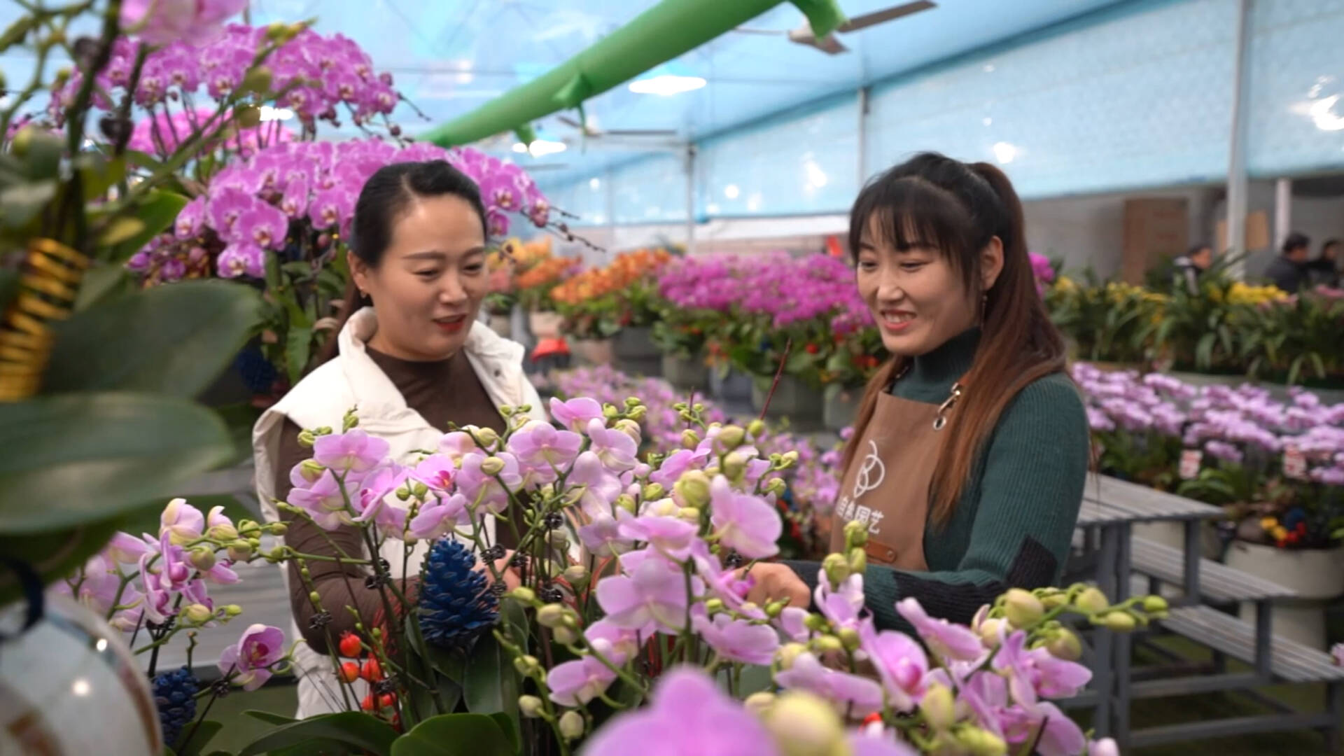 青州：“美丽经济”逐渐升温 花卉产业“一路生花”绽放勃勃生机