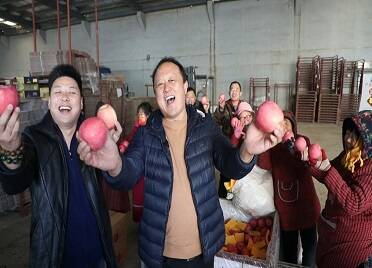 村书记喊话“尔滨” 3万斤栖霞苹果送“老乡”