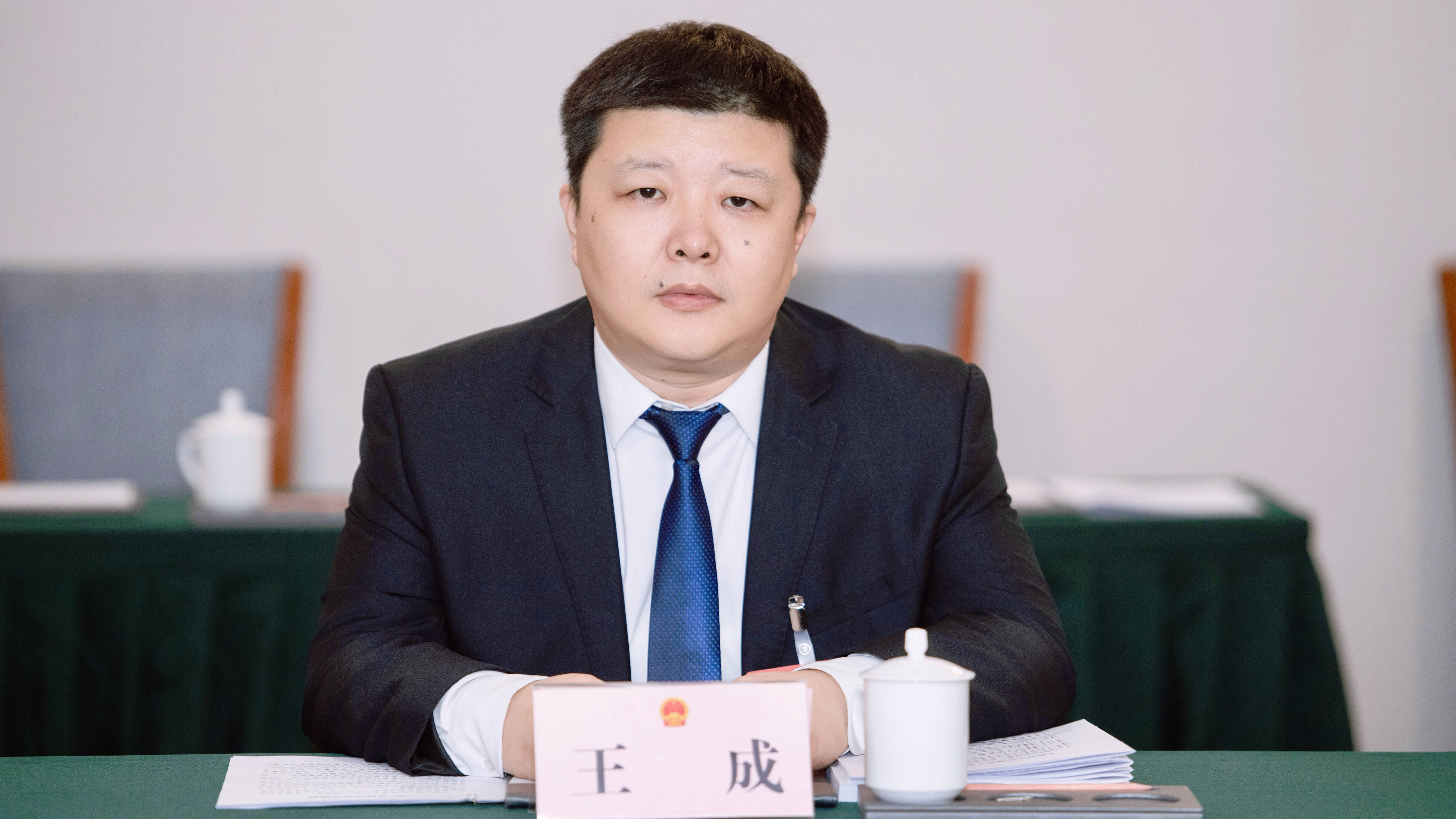 2024德州两会丨市人大代表王成发展一金一木特色产业以科技创新推动