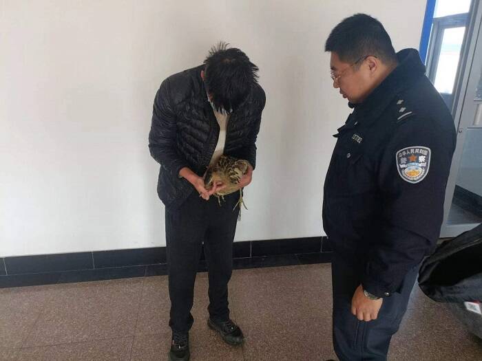 乳山市：警民携手 救助国家二级保护动物
