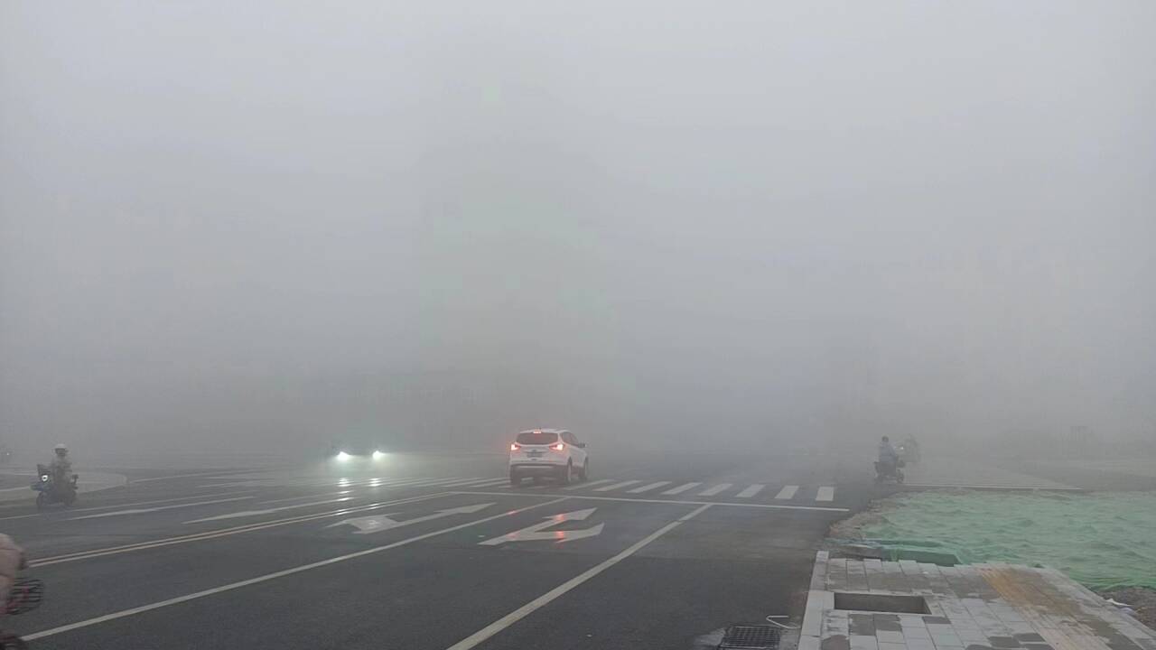 局地能见度不足200米！山东发布大雾黄色预警 13市将有浓雾