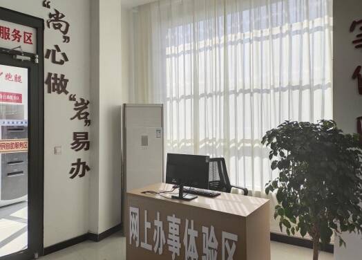 临沂兰陵：网上办事体验区 打造数字新窗口