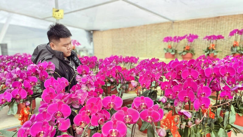 开市！潍坊青州花卉继续热卖