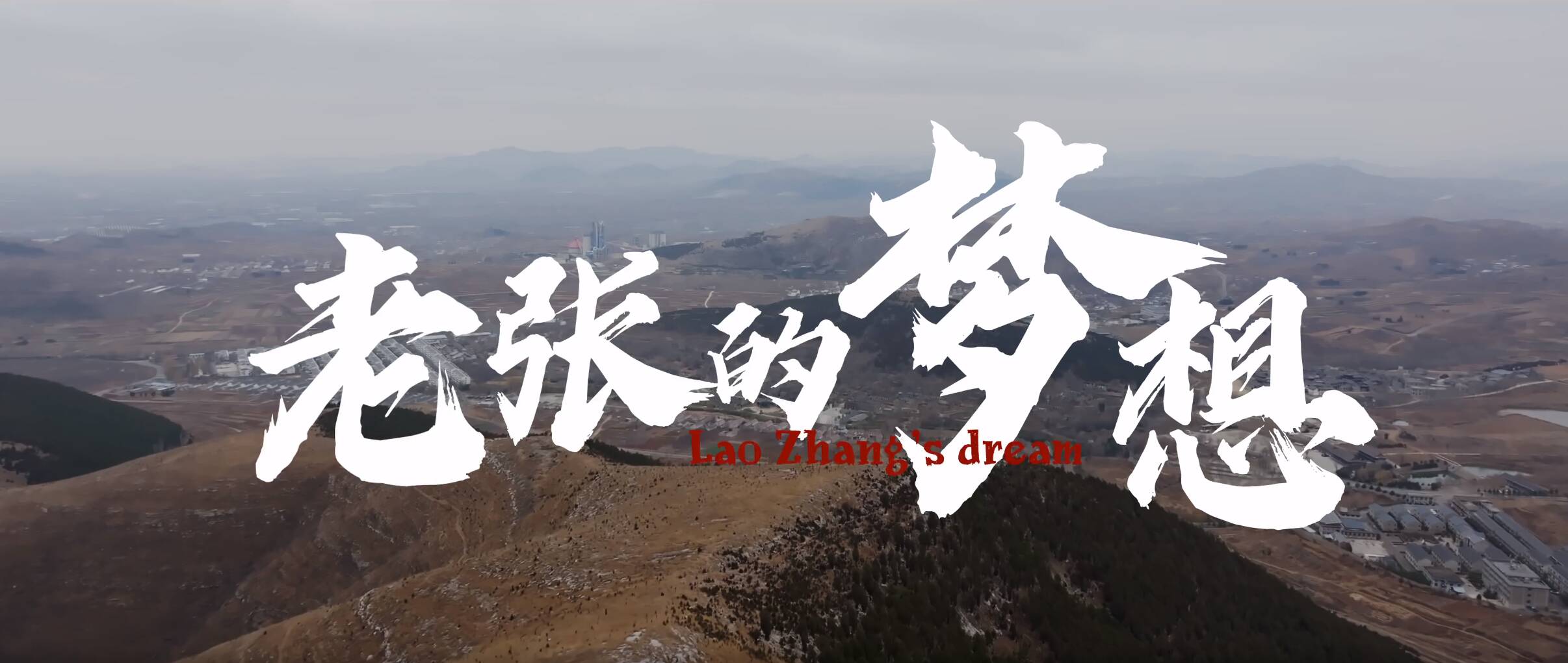 2024春节山东乡村文化旅游节 | 老张的梦想