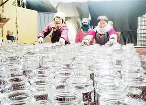 记者观察︱博山日用玻璃行业“抱团出海”