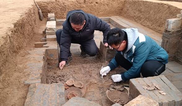 临沂市考古重大发现——沂河新区再现岳石文化遗存