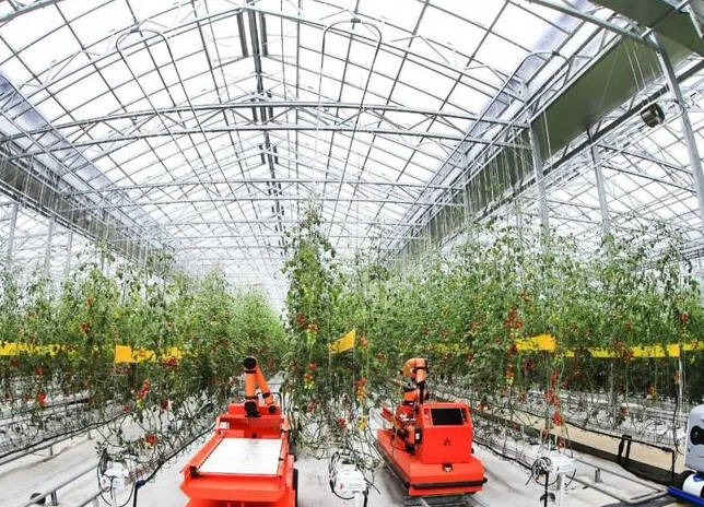 公示！潍坊拟入选全国现代设施农业创新引领区