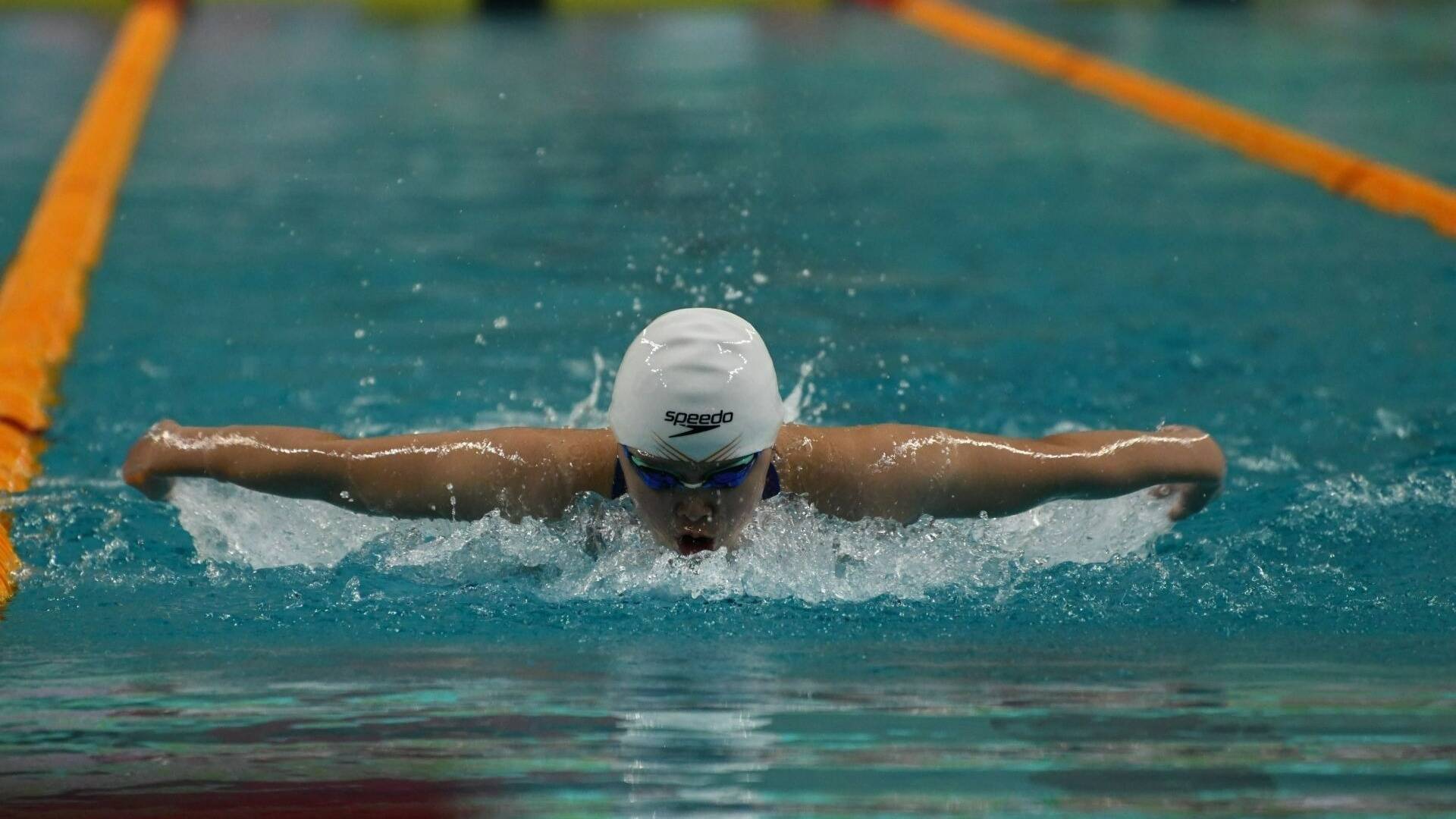 全国春季游泳锦标赛在青落幕，山东队收获8金成最大赢家