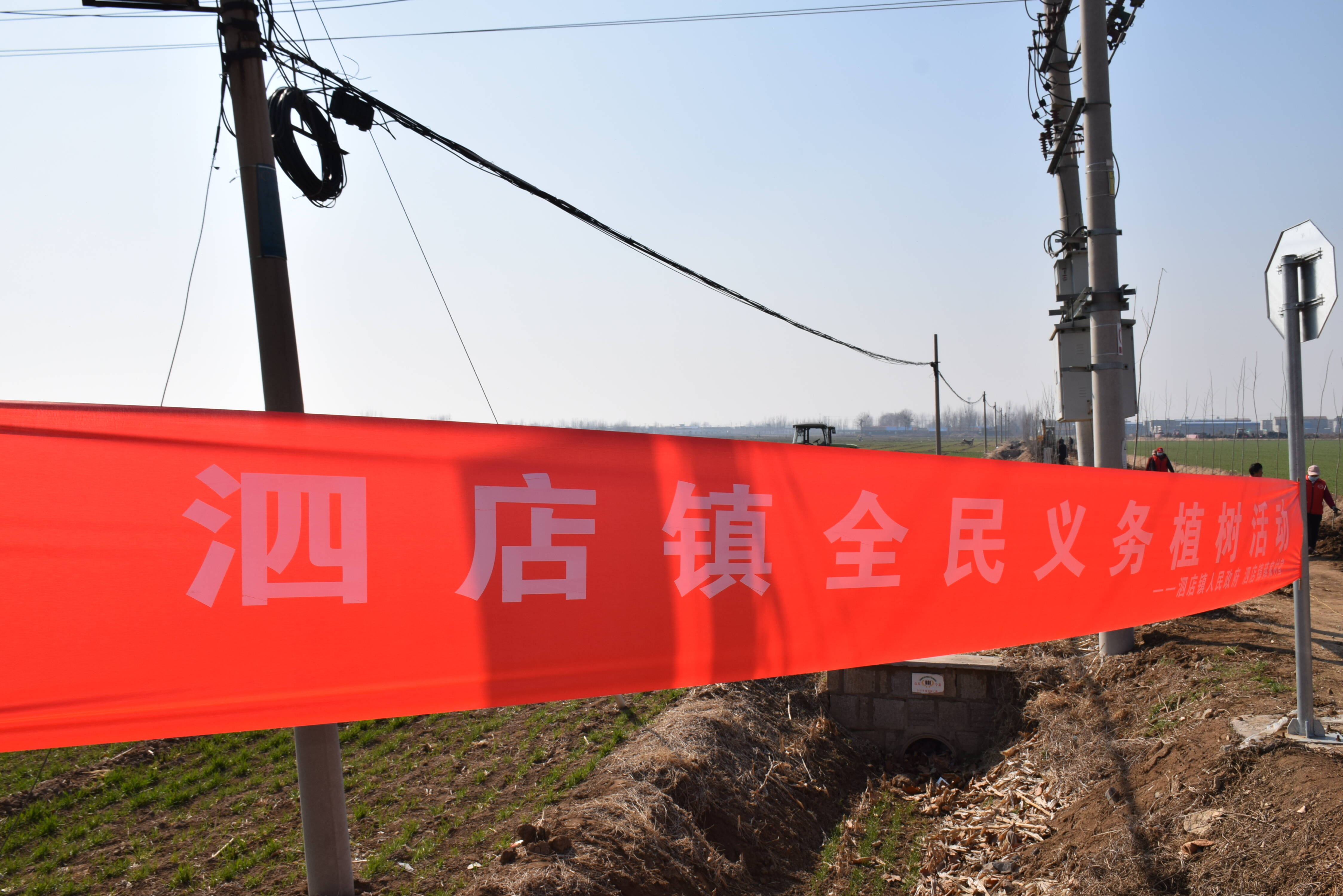 植树添新绿不负好春光泰安市宁阳县泗店镇开展2024年度义务植树活动