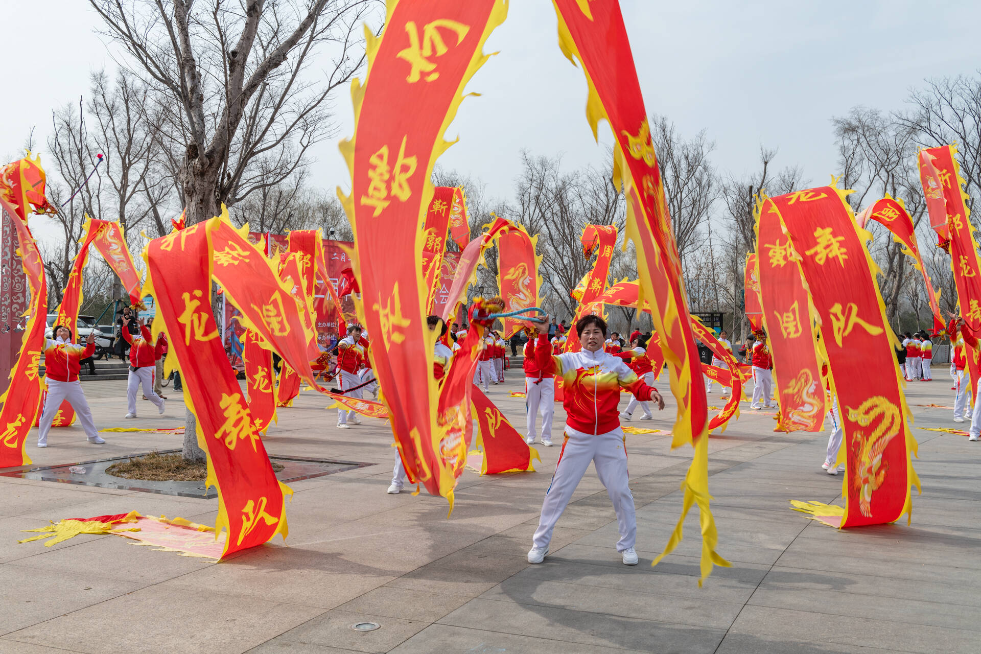 济南：二月二龙抬头 百人共舞“彩带龙”