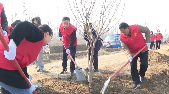 潍坊昌乐：携手栽植新绿 助力生态文明建设