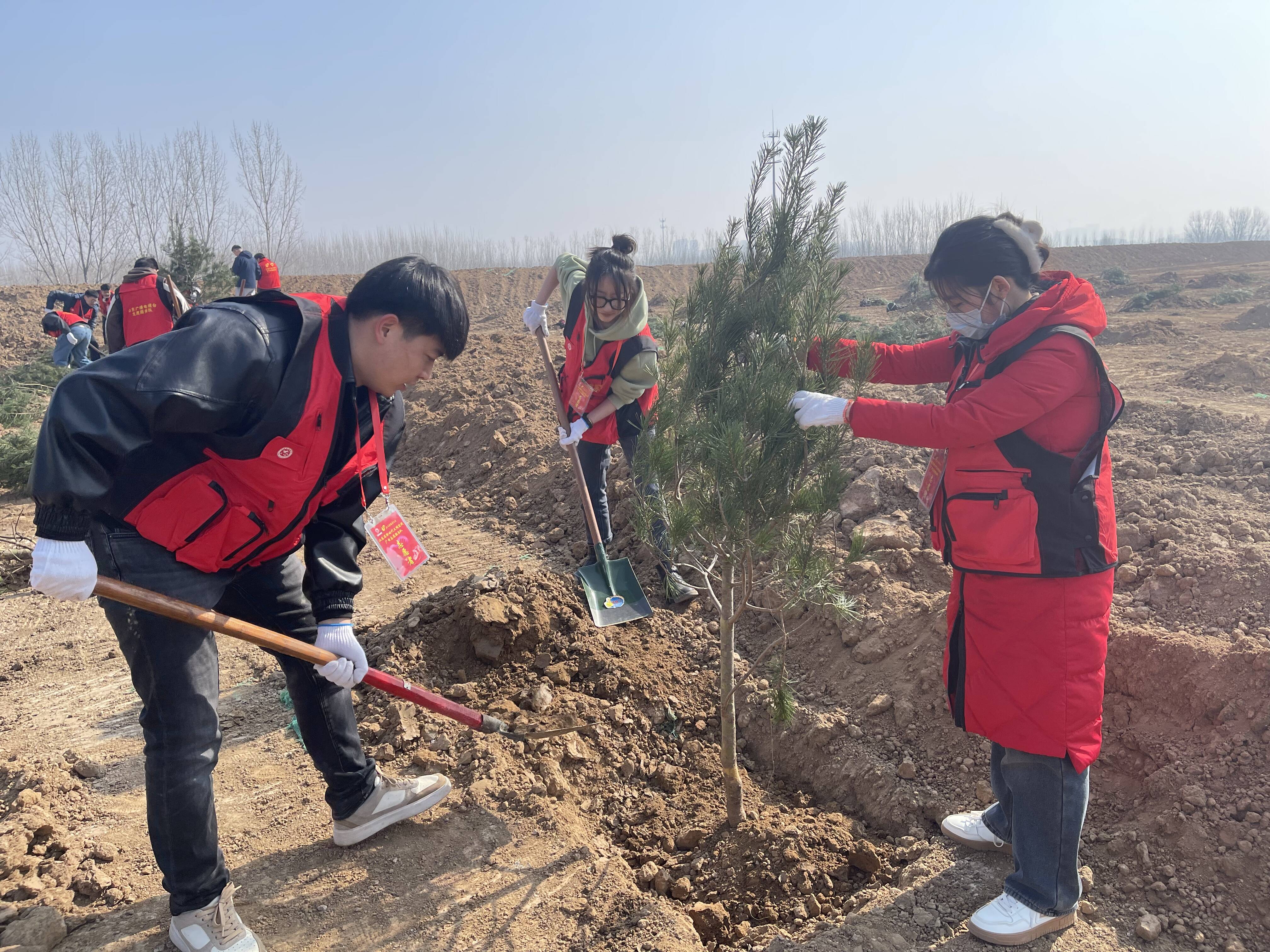 “守护生态黄河 共建美丽中国” 省直机关团员青年义务植树活动在济南举办