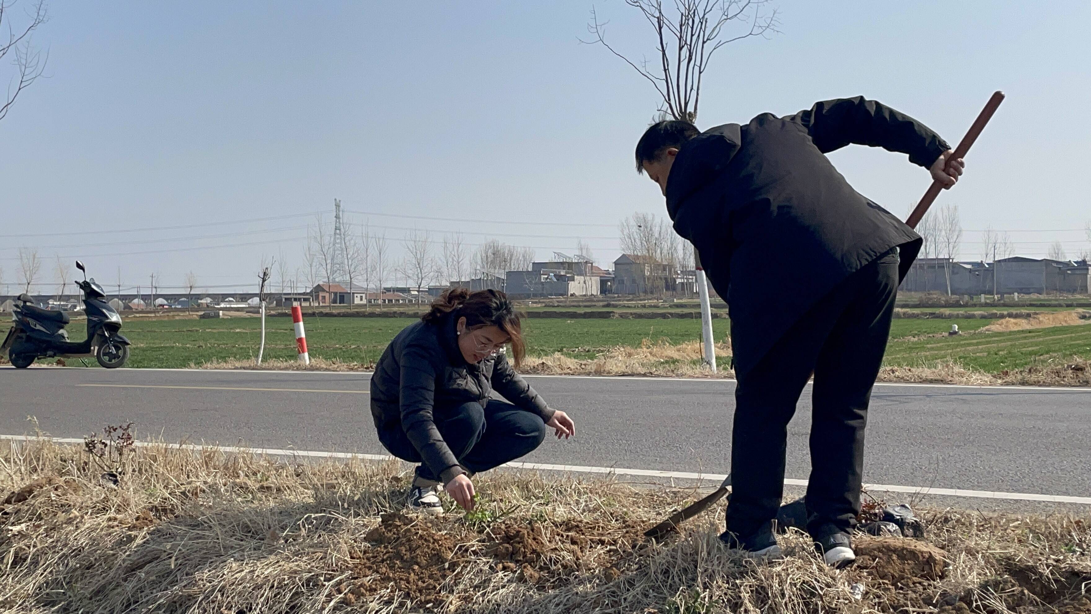 宁阳县堽城镇不负春光为绿充植