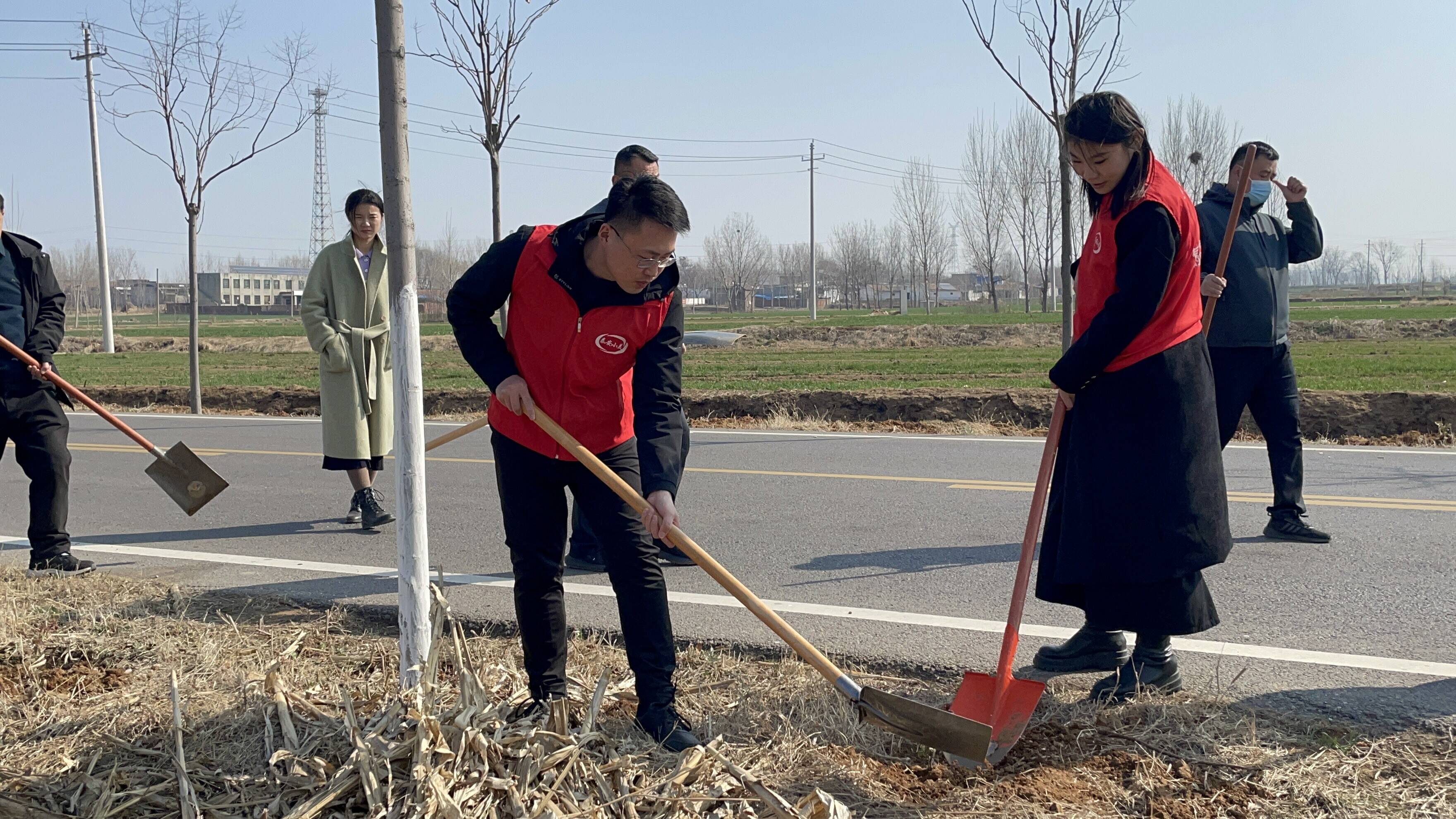 宁阳县堽城镇不负春光为绿充植