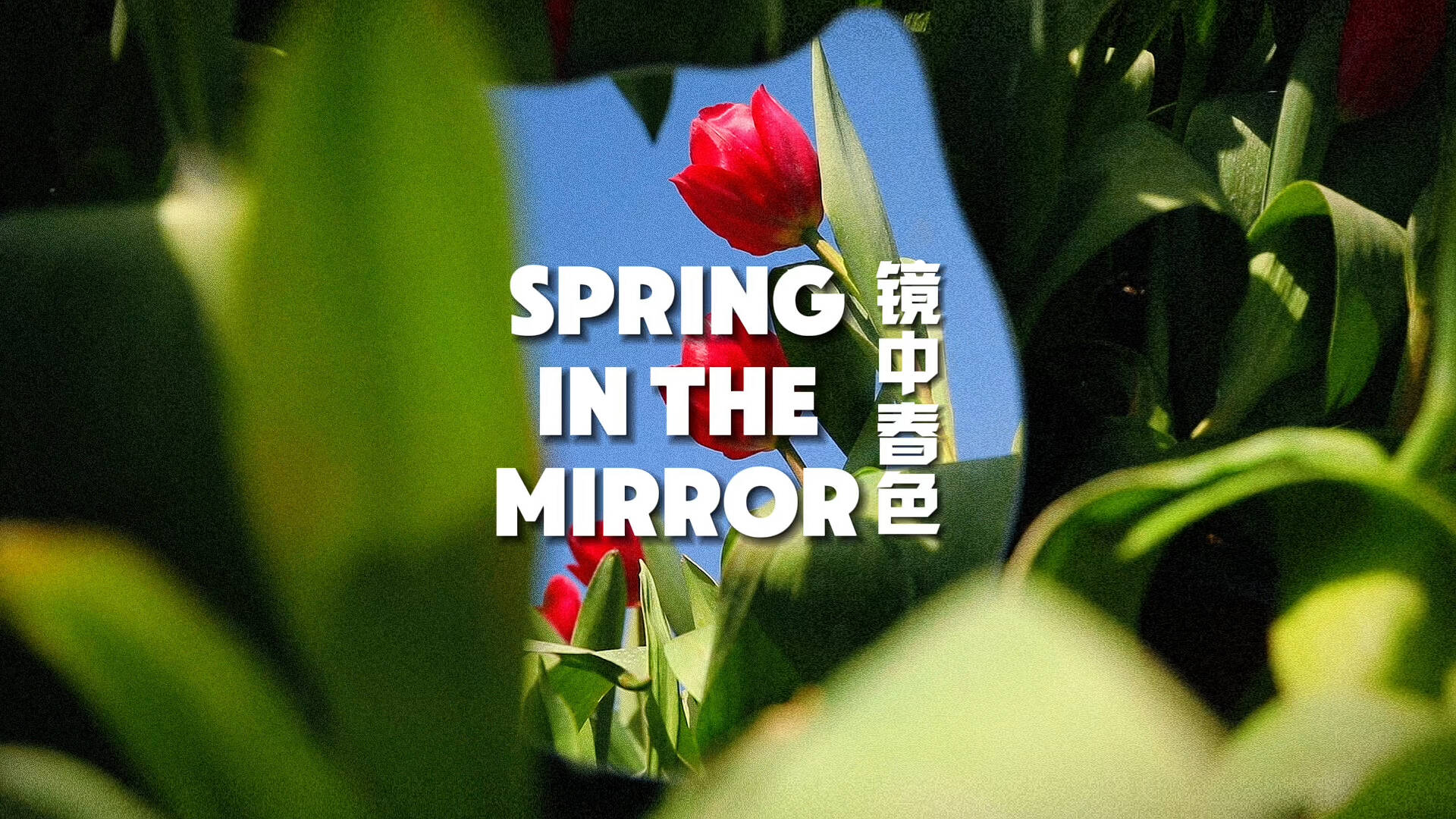 春游齐鲁丨用春天和镜子写一首小诗