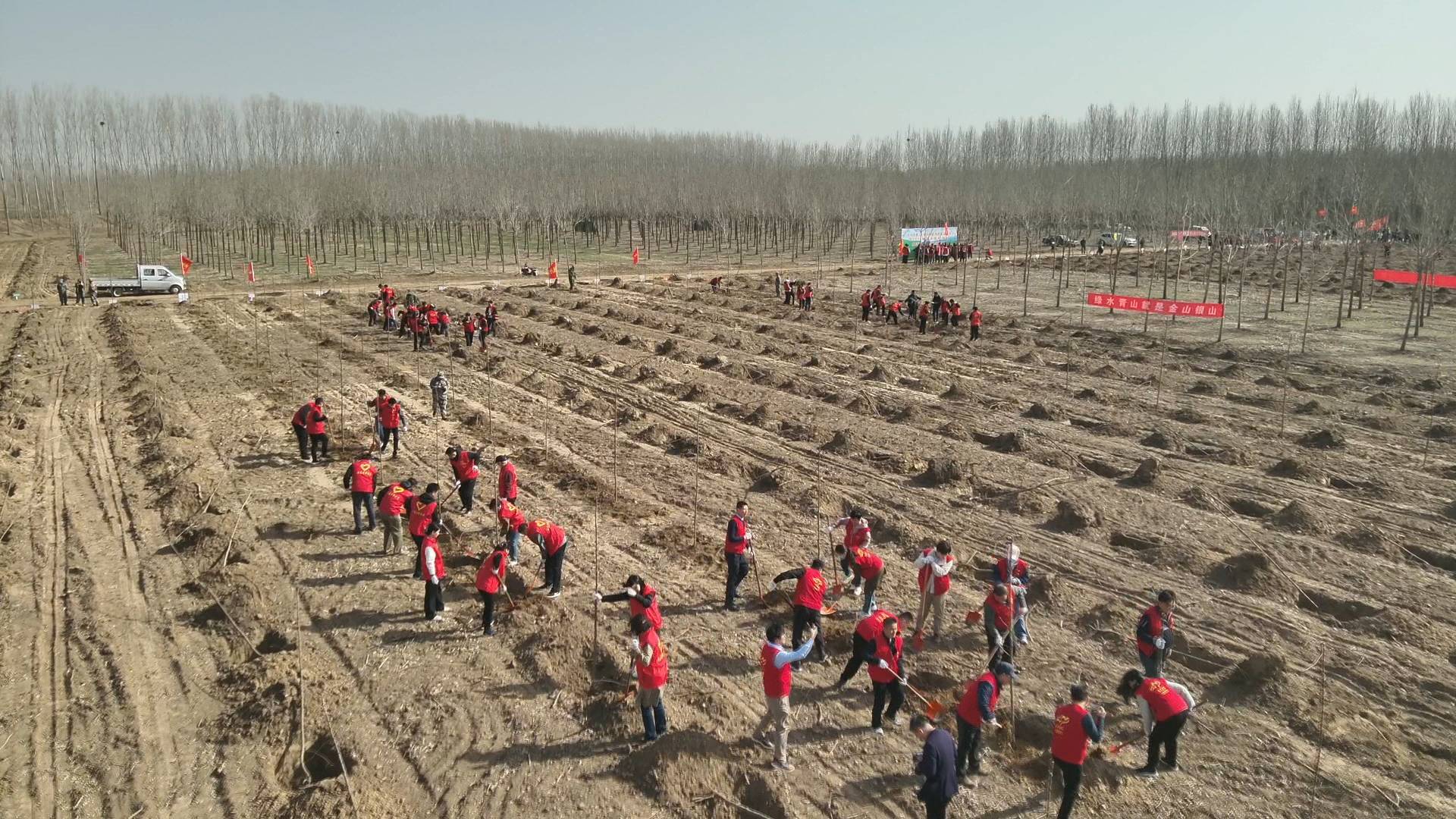 绿动齐鲁！省直机关义务植树活动在济南举行