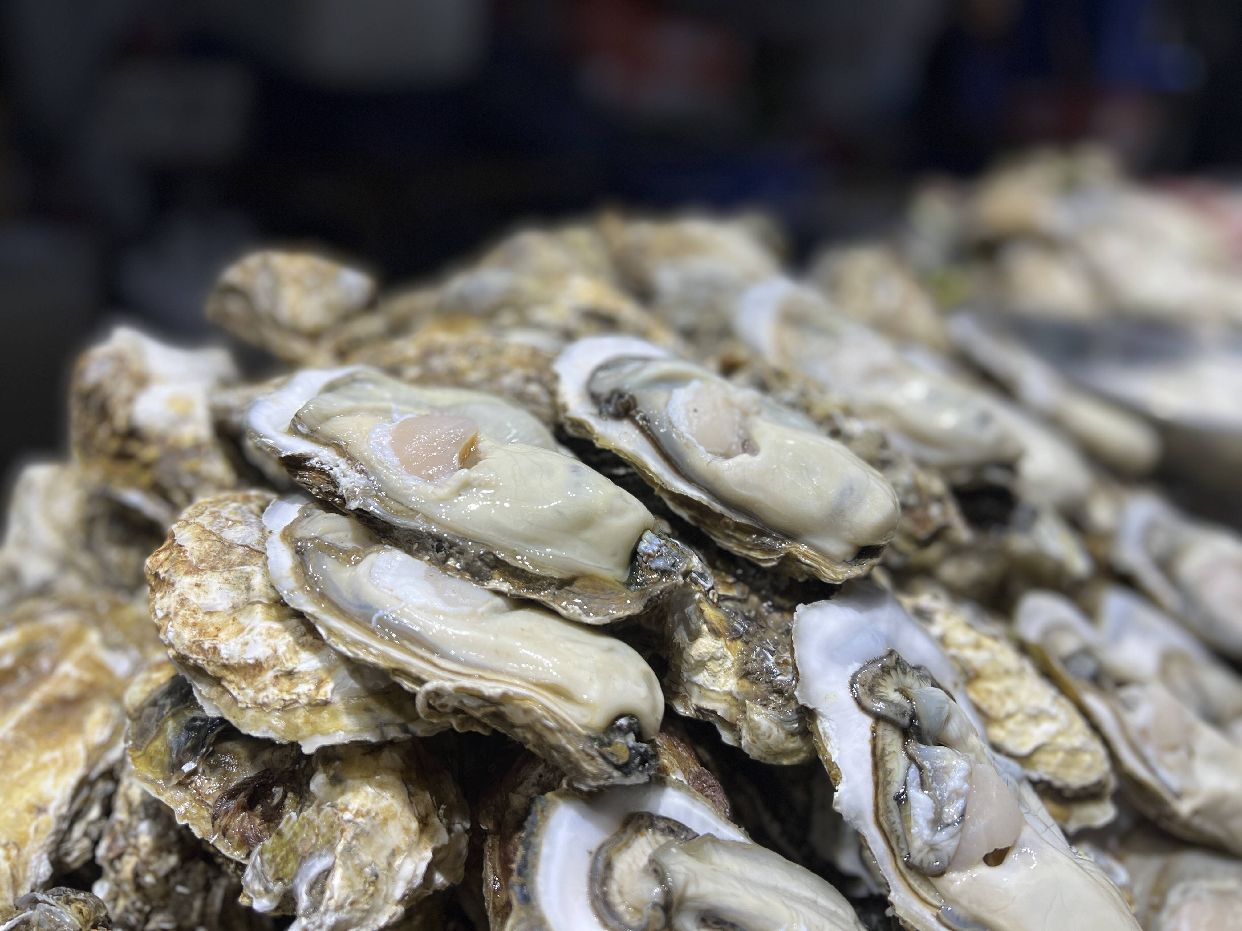 济南海鲜市场：海蛎子、扇贝正肥美 你尝鲜了吗？