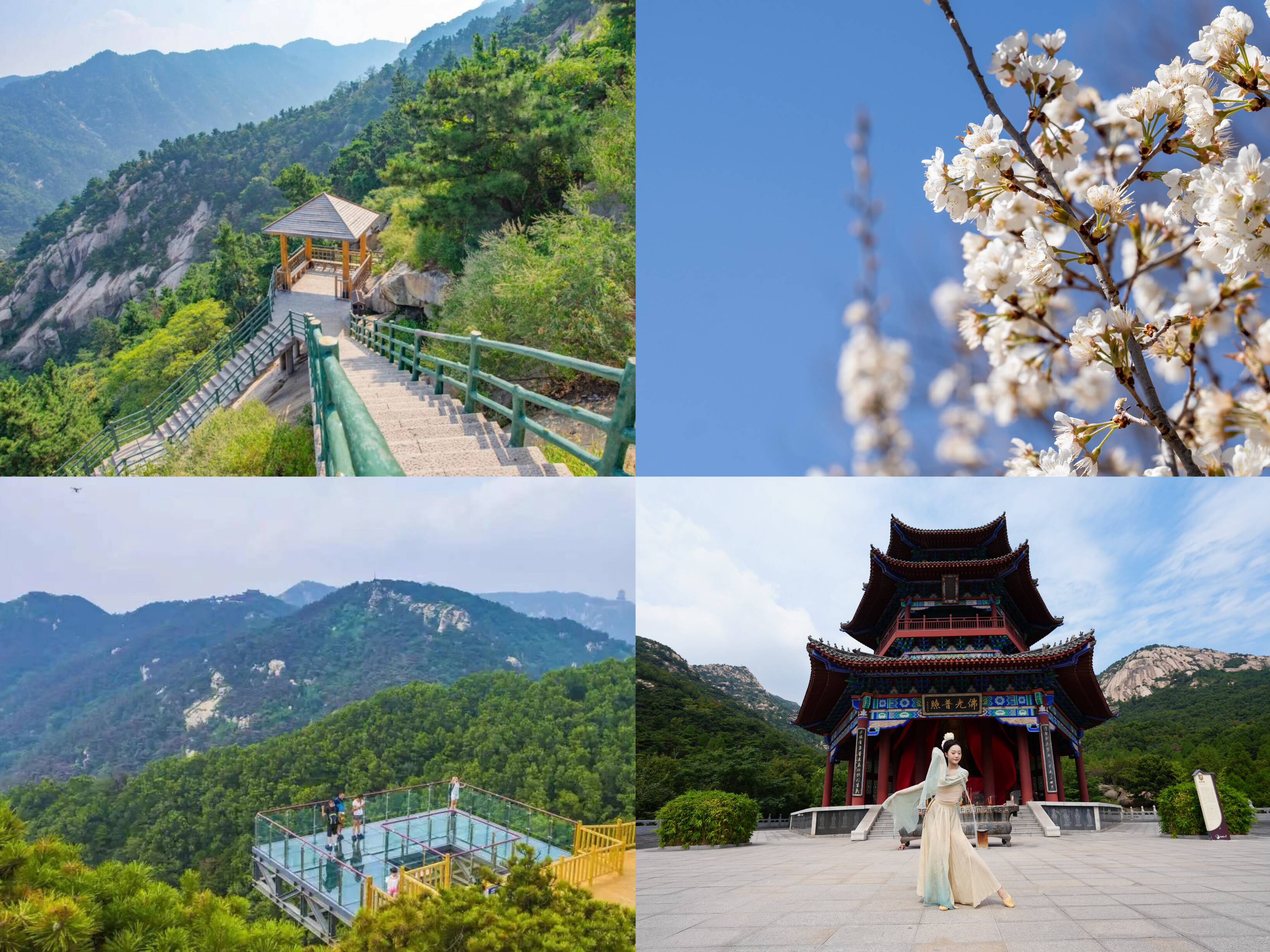  Flash News Joins Hands with Shandong Cultural Tourism Scenic Spot to Invite Students from All over the Country to "Spring Mountain" for Free