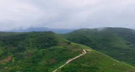 我从“新沂蒙”走来丨全国首个民间林长张荣军：他走过的山头都绿了