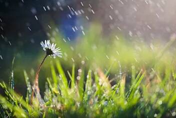 春雨貴如油！山東迎大范圍降雨天氣，氣溫下降明顯