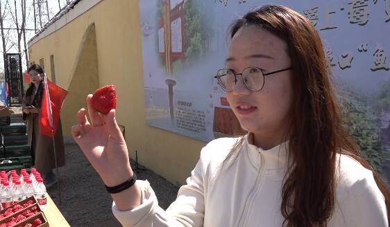 潍坊市潍城区成立草莓产业联盟 “甜蜜事业”结出硕果